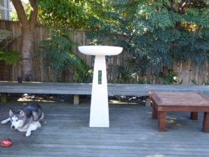 Albatross Birdbath