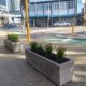 Concrete trough planters-straight-sided