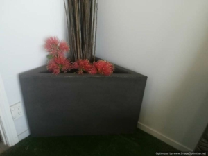 Corner Concrete Planter