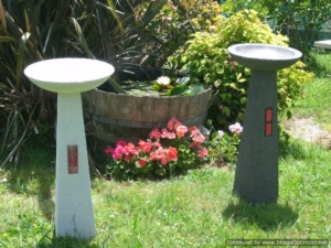 Robin Birdbath