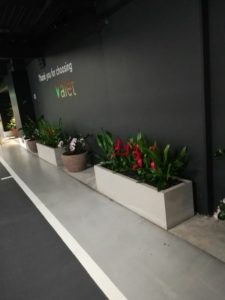 trough concrete planter