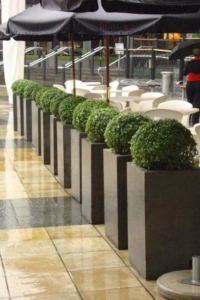 Tall cube concrete planters