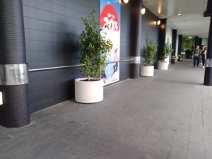 Cylinder concrete planters manufactured by Sanstone NZ